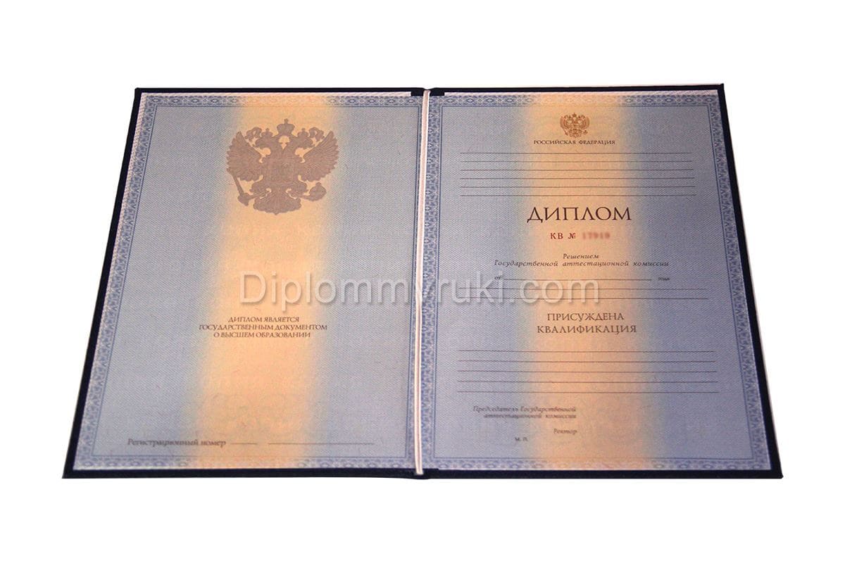 Диплом о высшем образовании 2012 - 2013 года