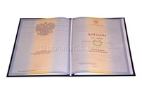 Диплом высшего 2010–2011