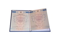 Диплом техникума 2011–2013