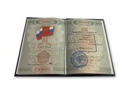 Диплом ПТУ 2007–2013