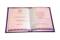 Аттестат 9 класс 2014–2020